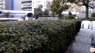 MCSR-537 高級マッサージ！洗練された人妻セラピストによる卑猥施術でヌキ本番！人妻マ○コと手コキで最高に気